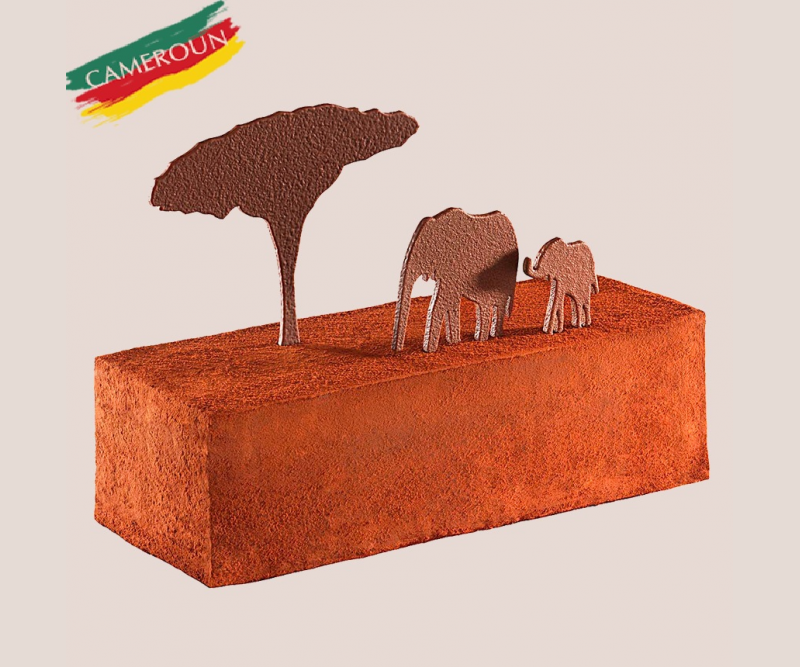 Gâteau expédiable Douala chocolat durable du cameroun