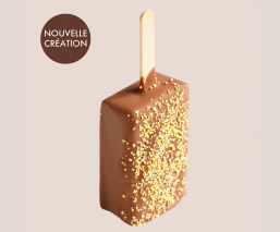 Exquis Momo glacé Mangue Passion Caramel - glace 2025