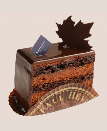 Gâteau mousse chocolat individuel Jardin des Plantes