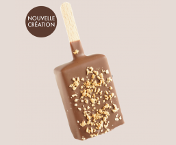 Exquisite Momo glacé Yogurt...