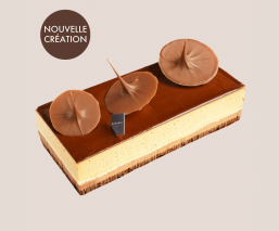 Cake "Belle-Ile"