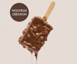 Exquis Momo glacé praliné