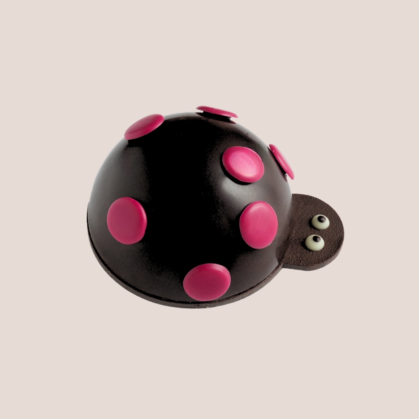 coccinelle chocolat noir 2024