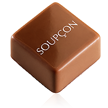 Soupçon. Boutique en ligne de chocolats. Jean-Paul Hévin