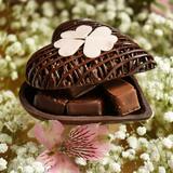 Pour la fête des Mères, offrez un cadeau qui vient du coeur et qui porte bonheur ! ❤️🫶🏻 

#jeanpaulhevin #fetedesmeres #happymothersday #chocolat #chocolate #paris