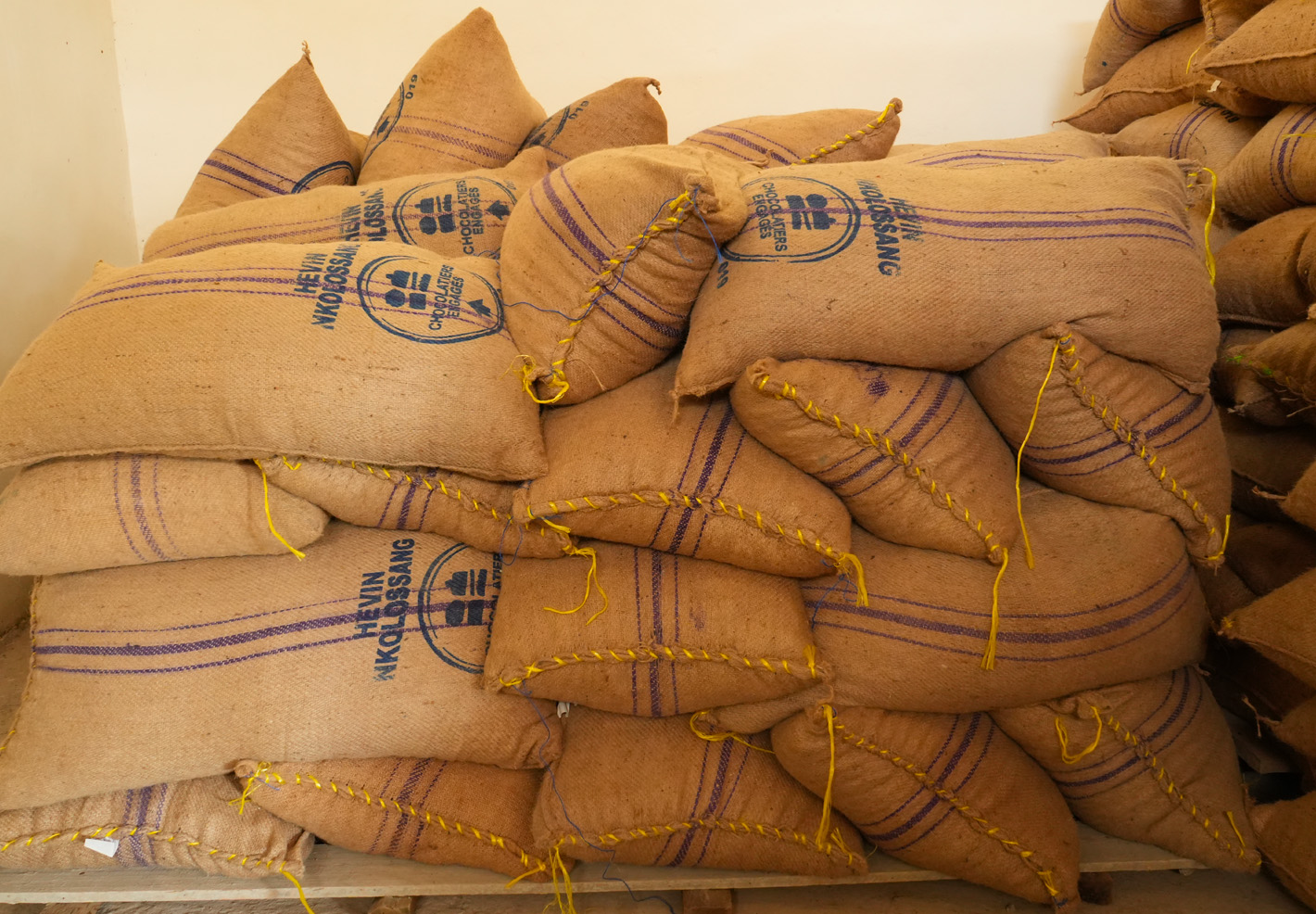 Sacs de fèves
